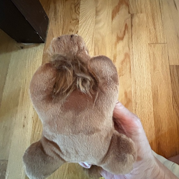 CU BOULDER COLORADO BUFFS BUFFALO Brown Plush Buffalo Stuffed Animal 🐝 - Picture 3 of 6